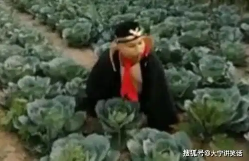  爆笑gif都说好白菜让猪给拱了,这话可真不是空穴来风