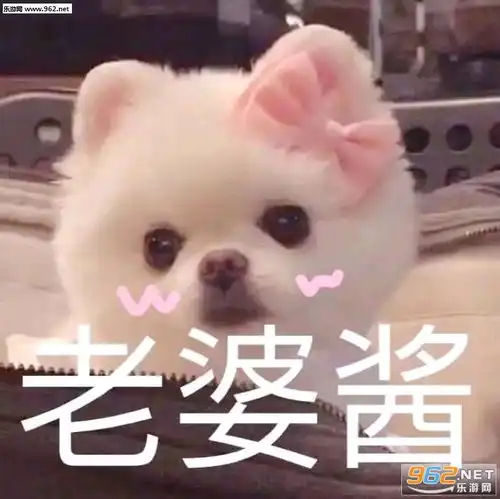  老婆酱表情包图片去tm的晚安老子不睡表情包下载乐游网游戏下载