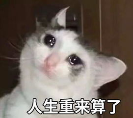  亲爱的快递,你去哪儿啦
