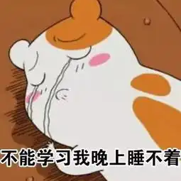  学生会社科四大院会联合对大一招新啦