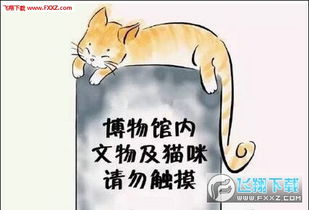  碑林博物馆网红猫表情包