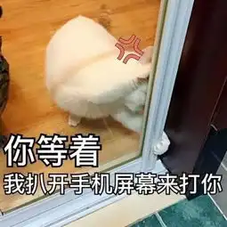 表情包壁纸桌面楼楼