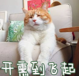  北京首个近1000套三环新房火速入市,然而......