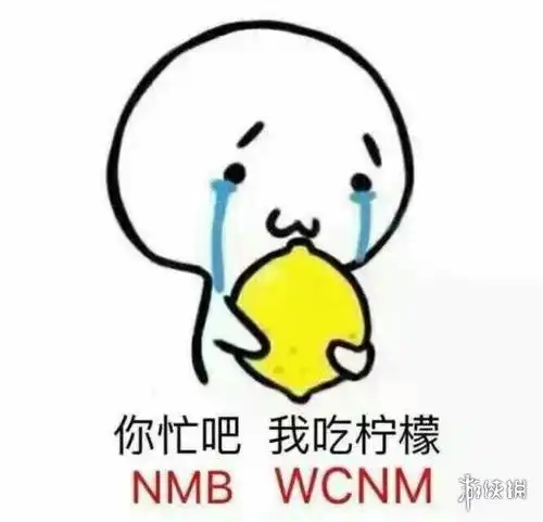 恰柠檬表情包gif小辫