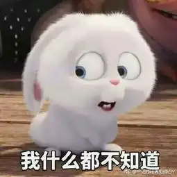  你见到过哪些笑到不行表情包