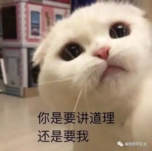  中秋特辑中秋佳节,与你共度景点推荐