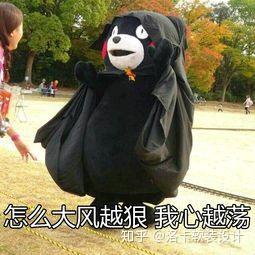  甲方爸爸,你还要我怎样