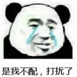  每日表情微信聊天斗图
