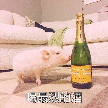  最佳鸡汤文案句子,你看过吗