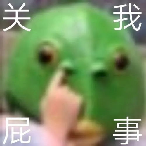  沙雕绿头鱼表情包