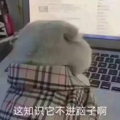 陈冠希300块表情包网络