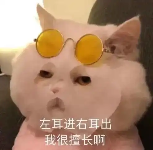 微信表情包大全2可爱沙雕又搞笑 微信表情包大全2可爱沙雕又搞笑