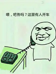  一言不合是什么梗一言不合就飙车出自哪