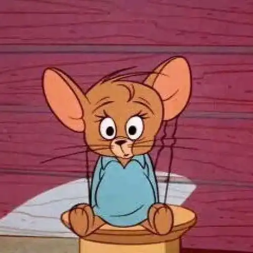  tom,你该好好学习了