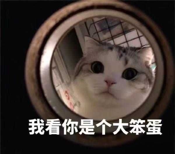  男生发猫猫狗狗的可爱表情包会是渣男吗为什么