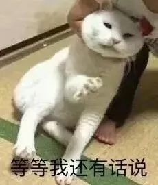  当追星狗遇见本命系列真的过于太真实了...