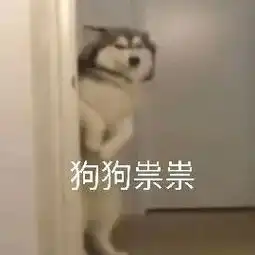  嘉升第一次参加股东大会,又穿西装又送礼物,姚大秋你学着点啦