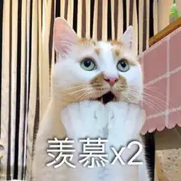  搞笑表情包请你离开我的互联网世界