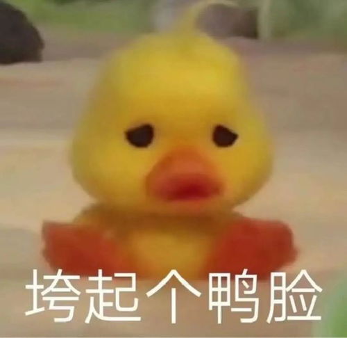  超薄外卖盒还有死不瞑目的鸡头125斤的紫燕百味鸡让打工人破防了