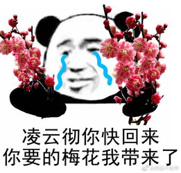  心痛凌云彻下线领盒饭
