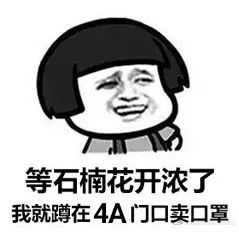  怕了咱庐江最有味道的花又双叒开了还是熟悉的味道