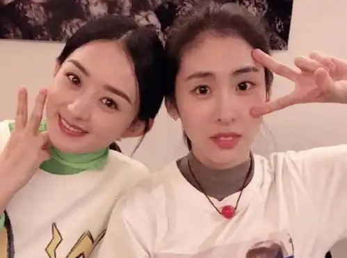 姐妹情深的表情包赵丽颖