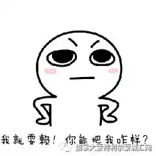  中国大妈史诗级碰瓷引发外媒强烈关注,英语新增词汇pengci