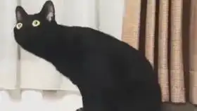  挺不错了