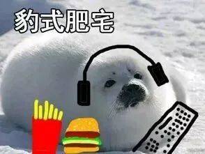  夏日空投表情包动物篇
