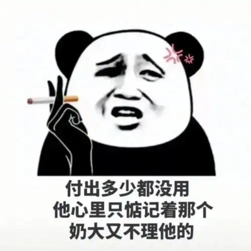  表情包所思在远道