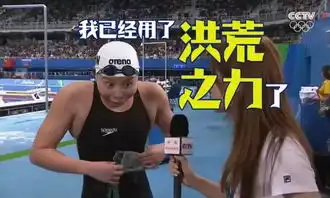  傅园慧表情包鬼畜,一届被亚文化统治的奥运会