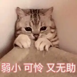算我求你的表情包猫天干