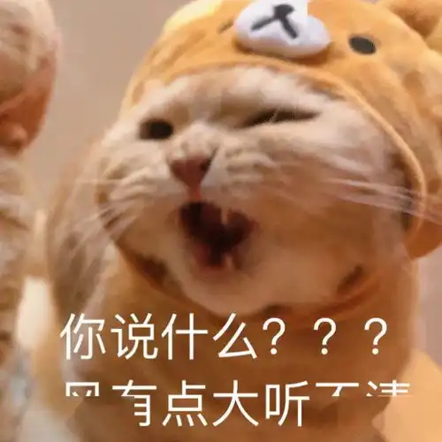  原来这只橘猫是个网红啊专属表情包来袭