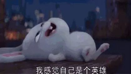  大家好,这是我的2017年终总结扎心版