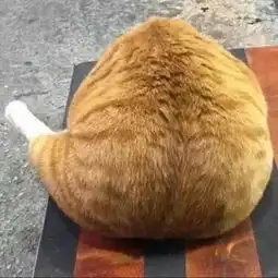  3年2班张继科