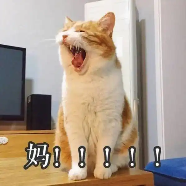 257级大风刚刚阜阳连发预警还有两个消息 257级大风刚刚阜阳连发预警还有两个消息