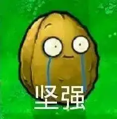  亲们,我准备去申请涨工资换手机了,祝我好运吧