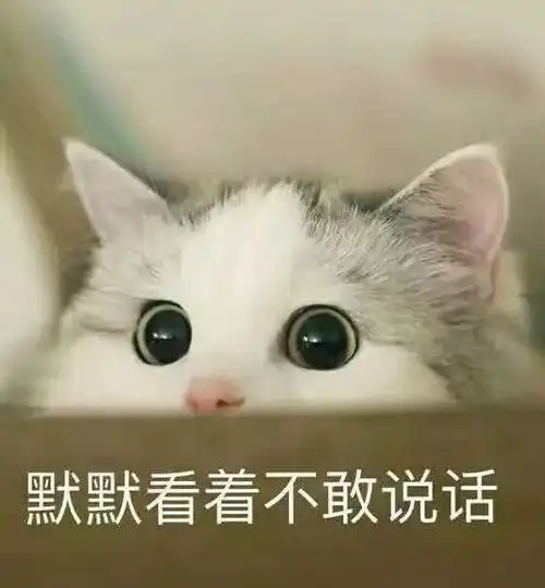  默默看着不说话表情包今天除了皮,又啥都没干,免费帮哄少女睡觉