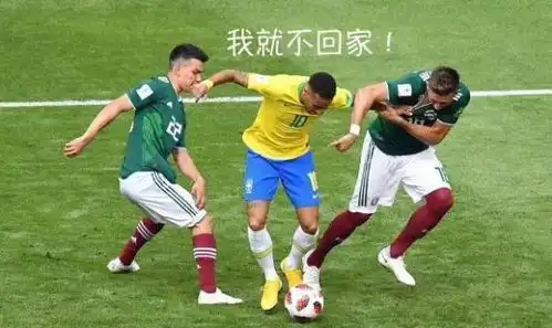  网曝世界杯最佳阵容内少携暴力鸟入围,双骄无缘名单