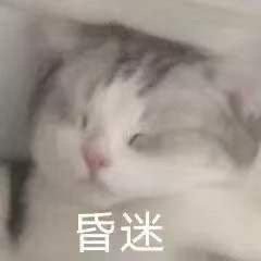  沙雕小表情4离谱