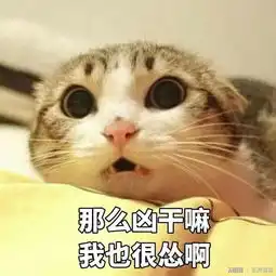  最新最in的猫咪表情包都在这里了,无水印,快来收图