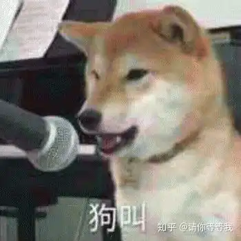 狗头表情包原型一只小猪