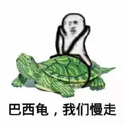  皮皮虾我们走是什么梗皮皮虾我们走表情包系列原图