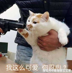  喜怒形于色,不遮不掩的星座