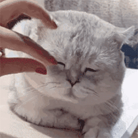  尼玛的