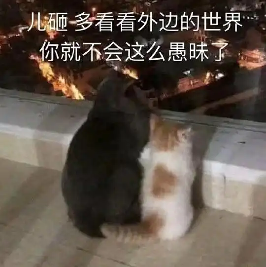 我要个性网表情包骂架