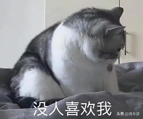 ghs动图的表情包网站文