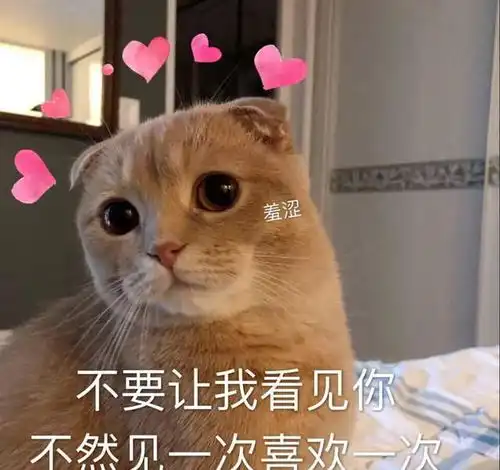 可爱沙雕表情包你再这样,我就嫁给你哦