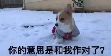 惊恐表情包图片大全开心