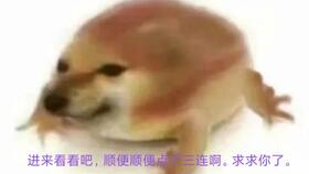  和平精英我这个菜鸡在团队竞技尽然杀了这么多人虽然输了﹏